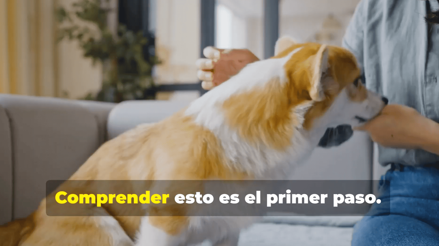 Captura de pantalla 2025-07-16 a las 13.26
