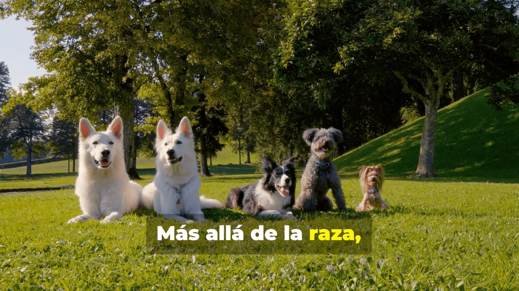 Captura de pantalla 2025-07-16 a las 13.26