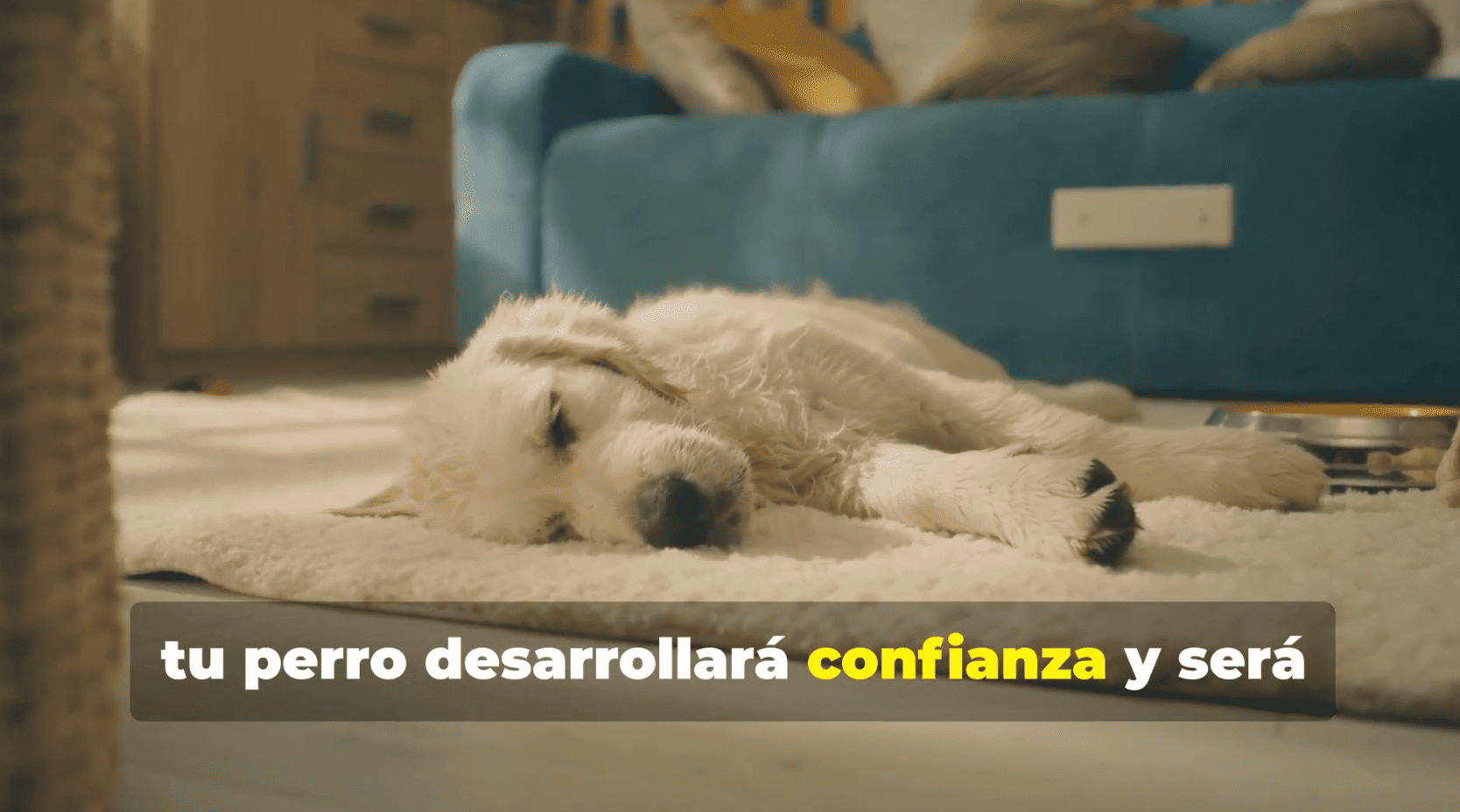 Captura de pantalla 2025-07-16 a las 13.33