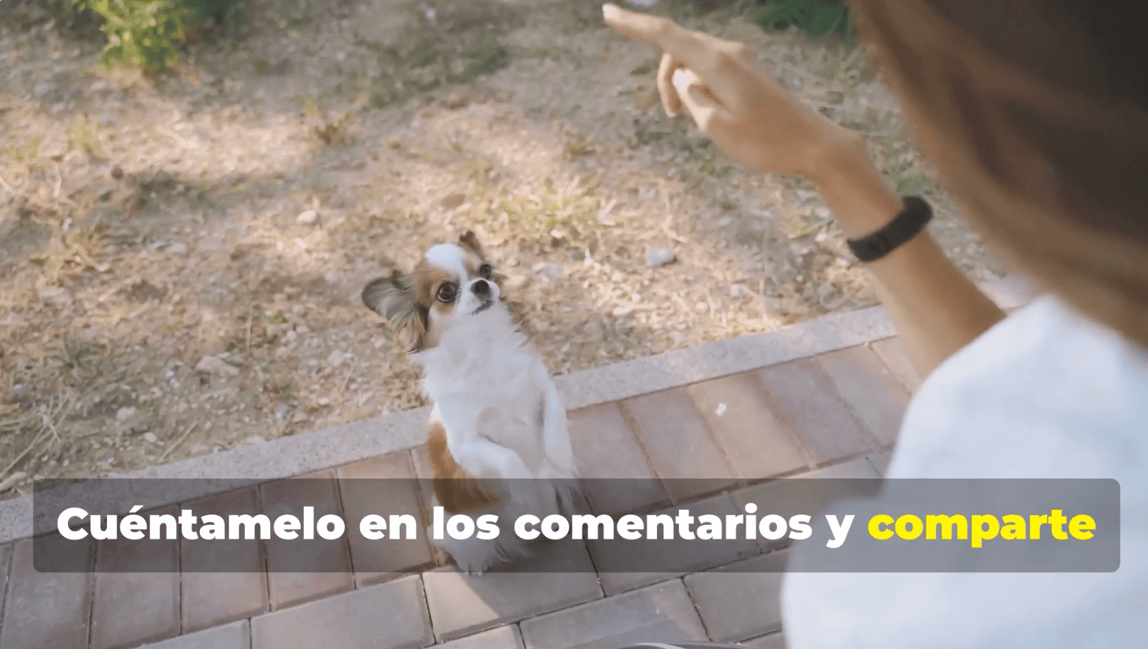 Captura de pantalla 2025-07-16 a las 13.33