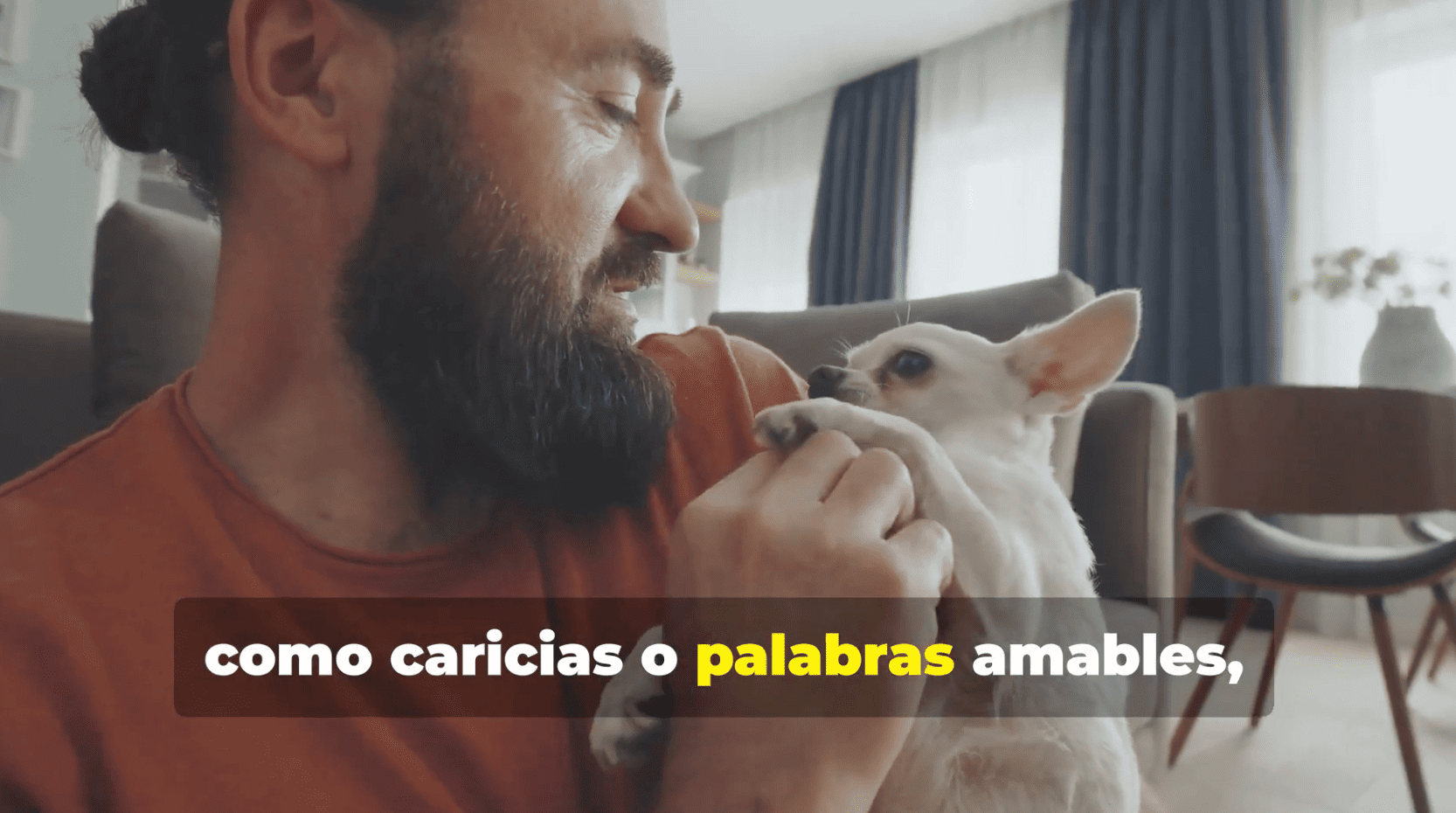 Captura de pantalla 2025-07-16 a las 13.33