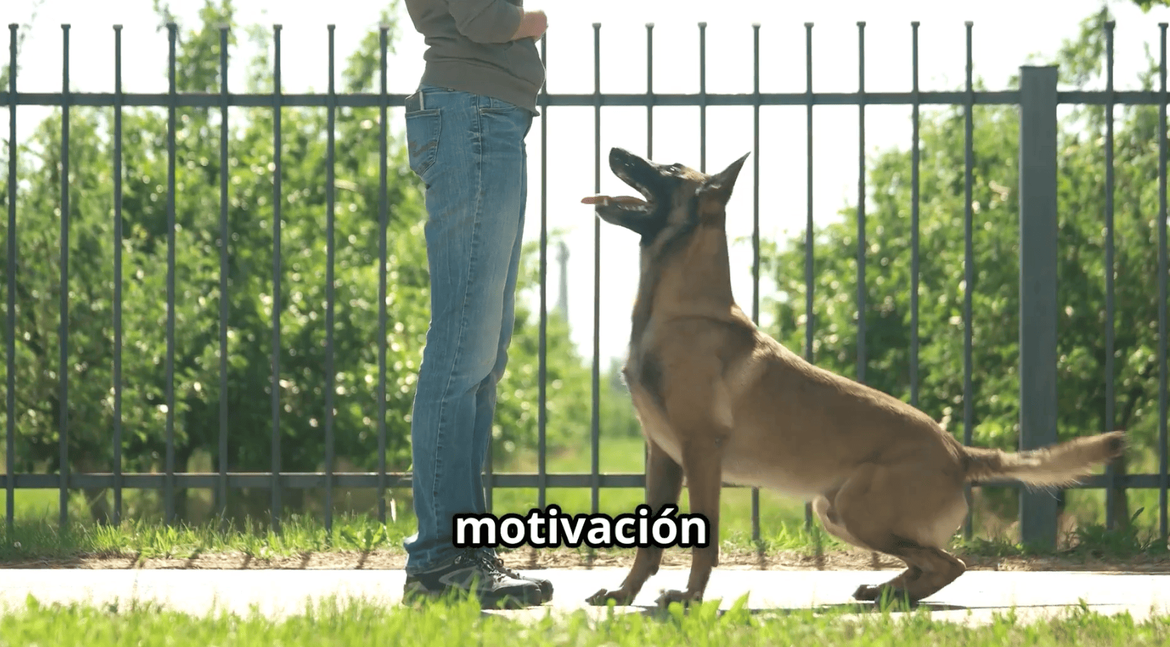 Captura de pantalla 2025-07-16 a las 15.36