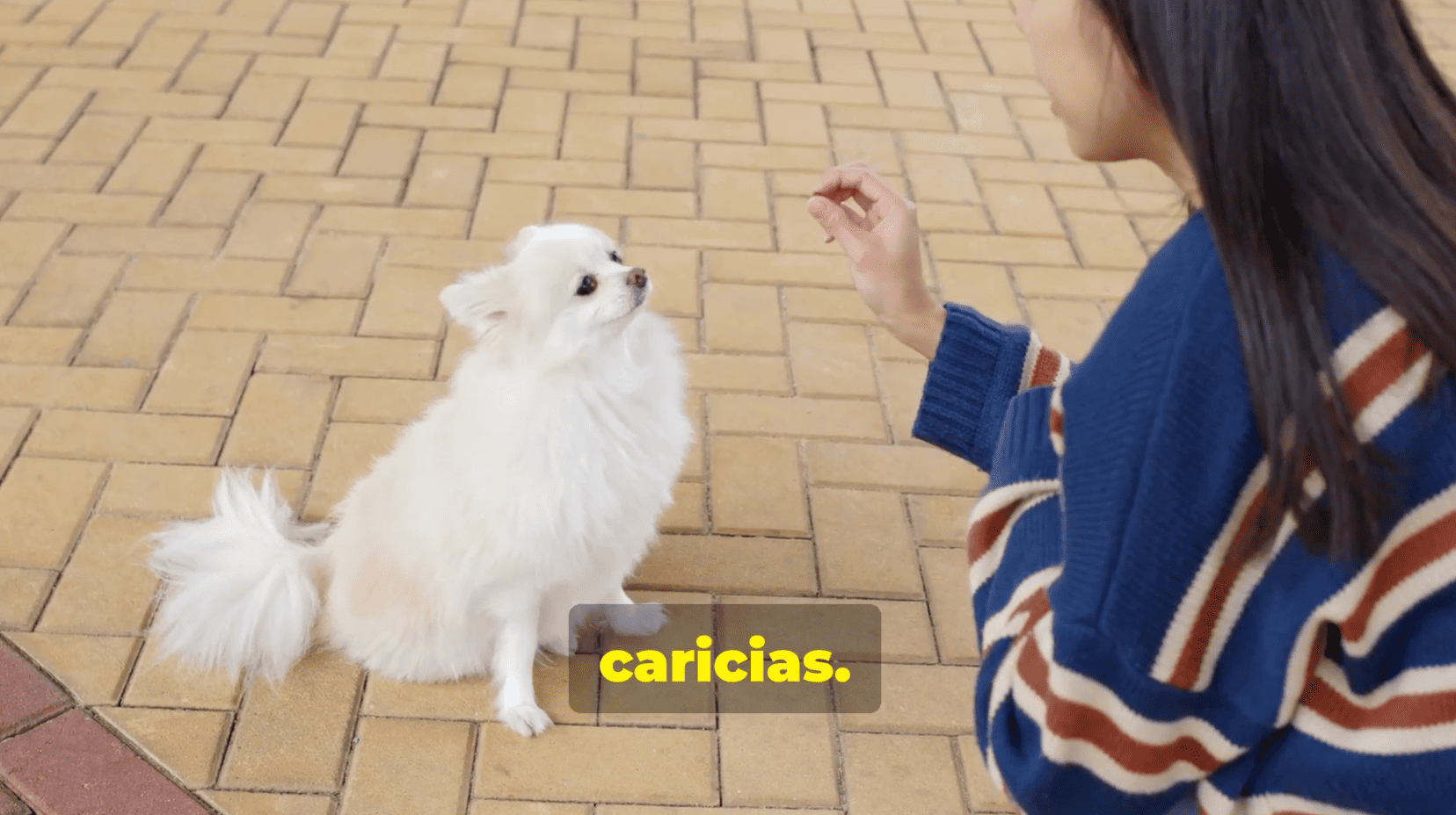 Captura de pantalla 2025-07-16 a las 15.37