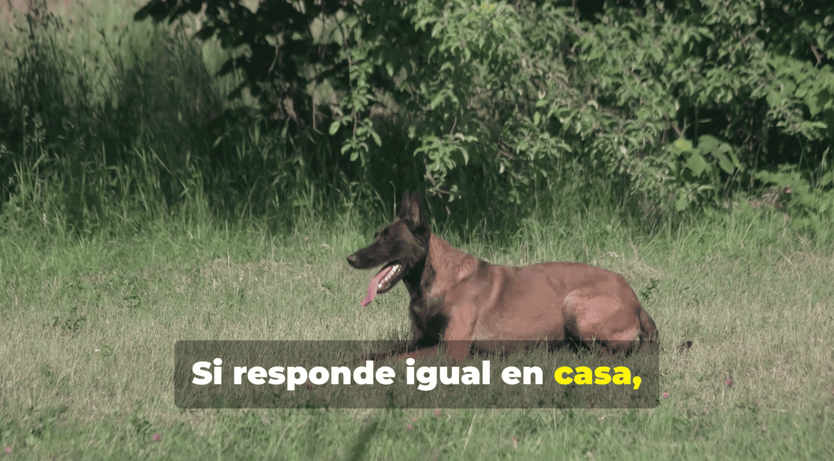 Captura de pantalla 2025-07-16 a las 15.47