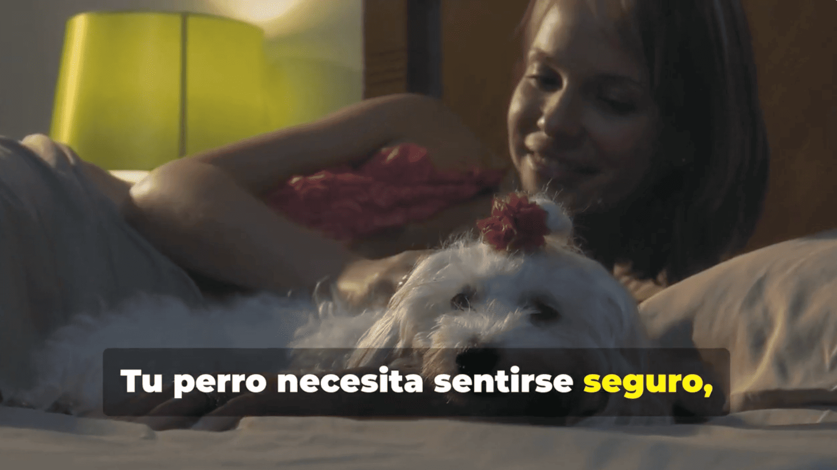 Captura de pantalla 2025-07-16 a las 15.47